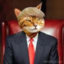 Trump cat
